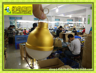 低壓安全LED球泡燈 綠鳥照明為農(nóng)業(yè)局打造的專業(yè)解決方案